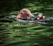 「第102回 二科展」 作品紹介 Vol.3